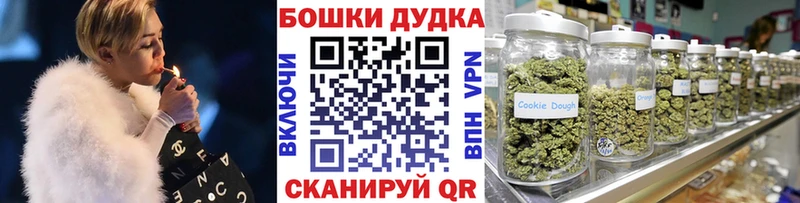 ГАШ Саров