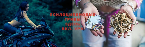 mix Алексин