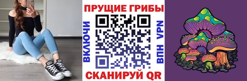Псилоцибиновые грибы Psilocybine cubensis  где продают   Саров 